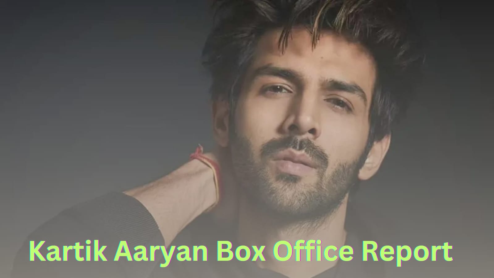 Kartik Aaryan Box Office Report